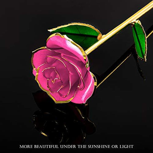 24K Gold Dipped Pink Eternal Rose